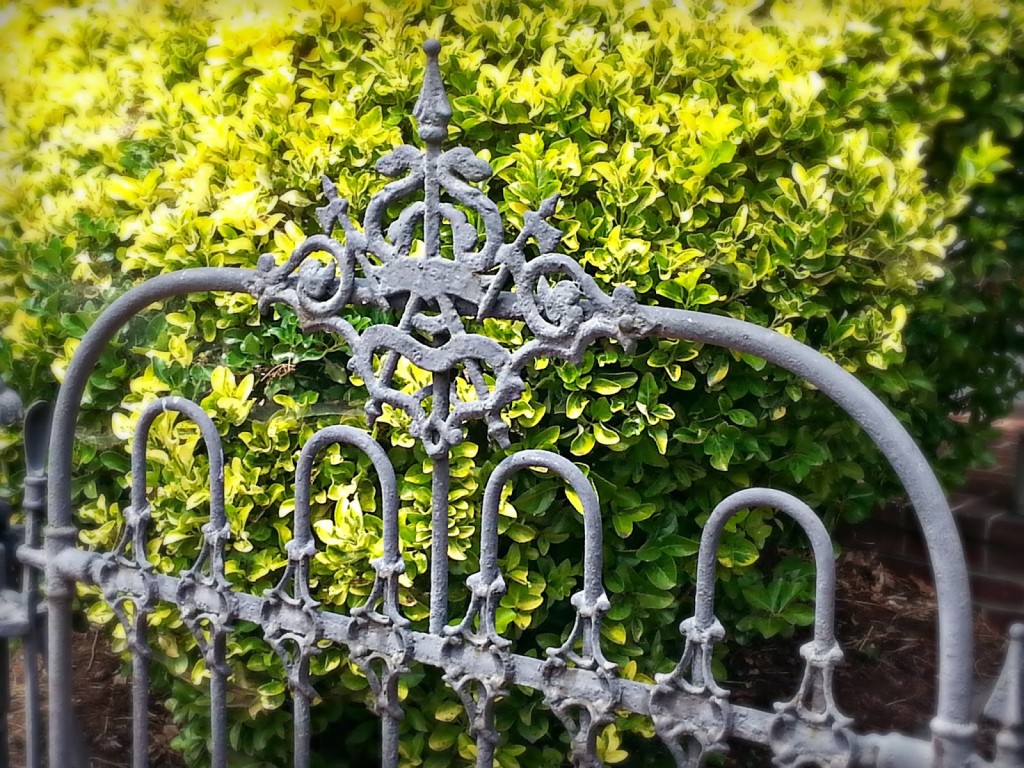 Intricately designed wrought iron gate