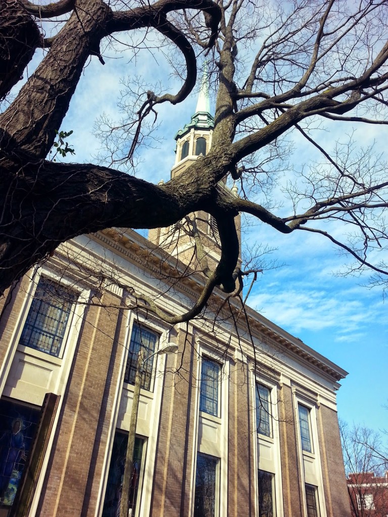 Winter tree, withered and leafless, in front of a building