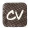 CV icon
