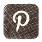 Pinterest Social Media Icon